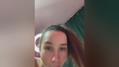 cat_meowa free recording from 