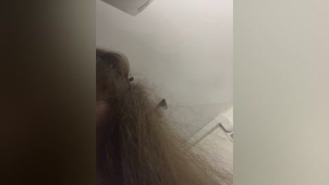 ladyemily free recording from 2025-12-22 01:27:00