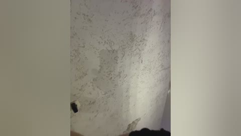 littledelora free recording from 2025-12-23 00:19:00