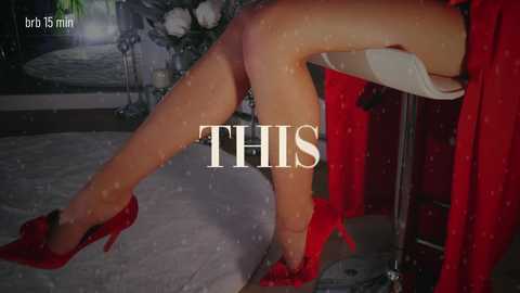 taanni free recording from 2025-12-22 00:03:00