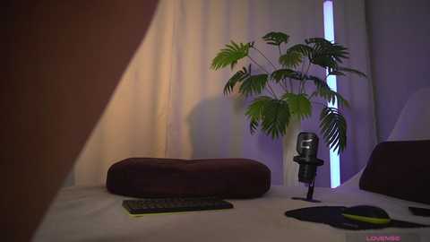 1orgasm1 free recording from 2025-12-24 02:15:00