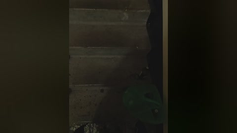 angelia22 free recording from 2025-12-23 02:42:00