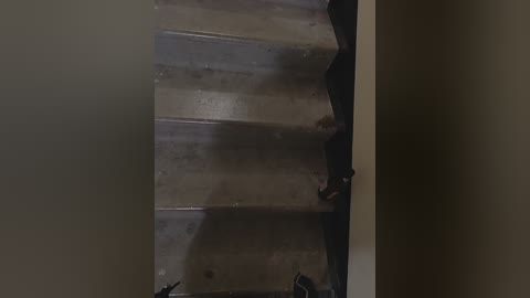 angelia22 free recording from 2025-12-23 02:42:00