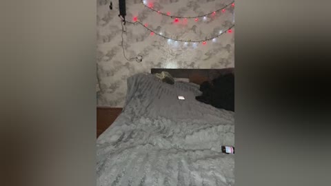 crazy_lady free recording from 2025-12-24 00:12:00