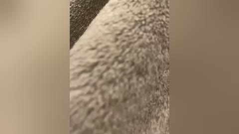 jopastayavika free recording from 2025-12-24 00:02:00