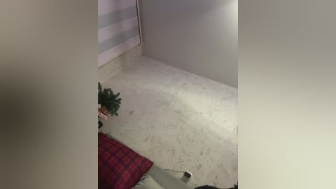 littledelora free recording from 2025-12-23 00:19:00