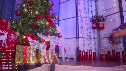 marry_cordy free recording from 2025-12-23 02:42:00