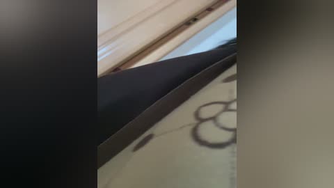 puma69 free recording from 2025-12-23 02:42:00