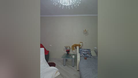 stella888 free recording from 2025-12-23 02:42:00