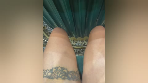 talilia free recording from 2025-12-23 02:42:00