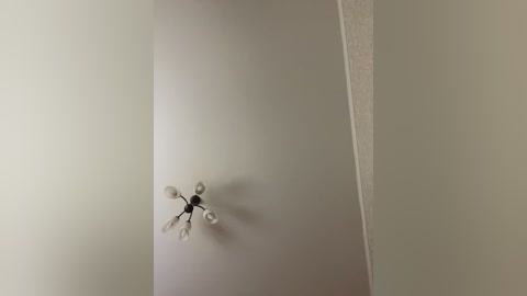 hellmor free recording from 2025-12-24 00:03:00