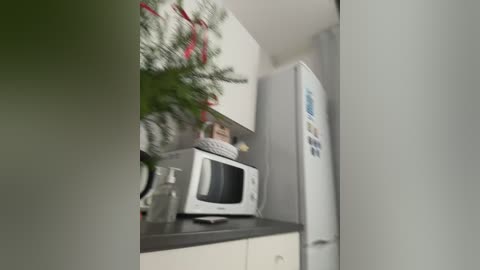 kiss_krisss free recording from 2025-12-24 02:15:00