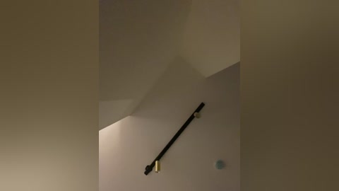 linatwins free recording from 2025-12-24 00:23:00