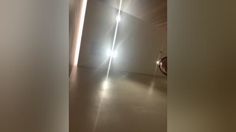 linnea free recording from 2025-12-24 00:23:00