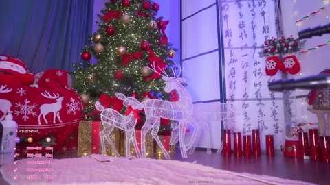 marry_cordy free recording from 2025-12-24 00:23:00