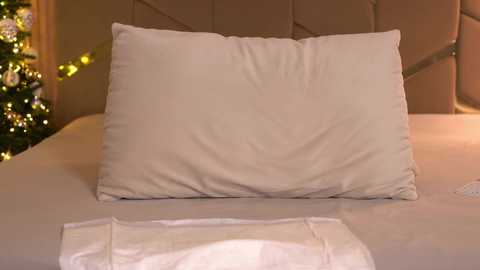 girl_pleasure free recording from 2025-12-25 00:06:00