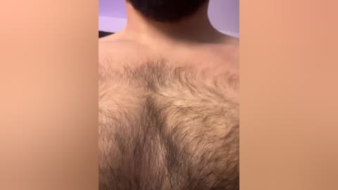 honeycouple free recording from 2025-12-25 01:00:00