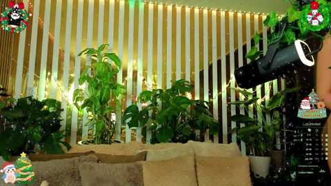 mialiahot free recording from 2025-12-25 01:24:00