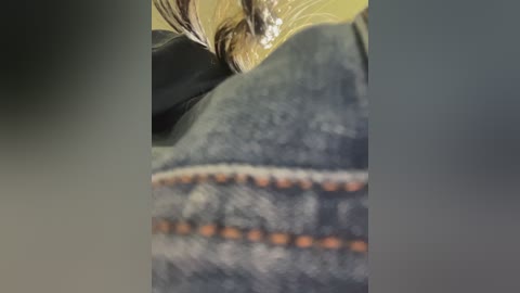 sallyeleins free recording from 2025-12-25 00:25:00