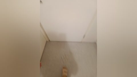 vor_bopl free recording from 2025-12-25 00:06:00