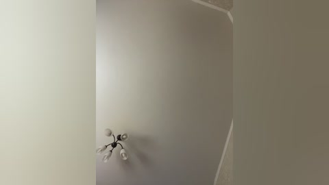 hellmor free recording from 2025-12-26 00:57:00