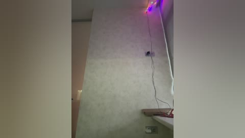 originalhooli free recording from 2025-12-26 00:57:00