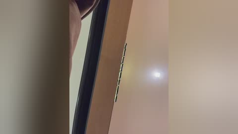 sasha_orlova free recording from 2025-12-26 00:38:00