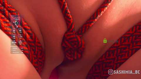 sashimia free recording from 2025-12-27 00:33:00