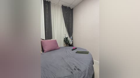 shamelesss free recording from 2025-12-26 02:06:00