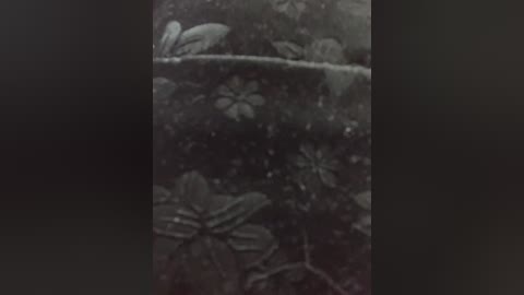 nezukoo free recording from 2025-12-27 00:03:00