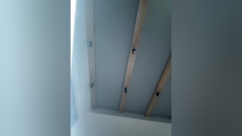 nezukoo free recording from 2025-12-27 00:03:00