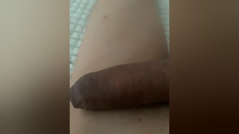 sex_education free recording from 2025-12-27 00:03:00