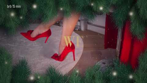 taanni free recording from 2025-12-27 00:14:00