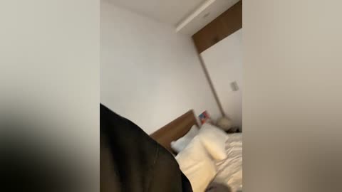 twins666 free recording from 2025-12-27 00:13:00