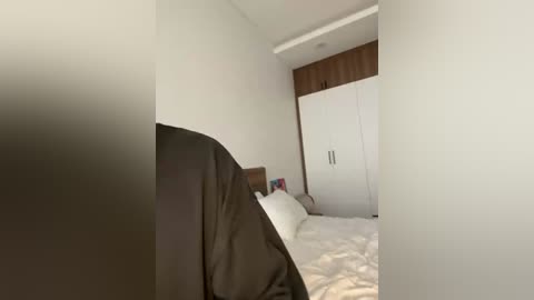 twins666 free recording from 2025-12-27 00:18:00