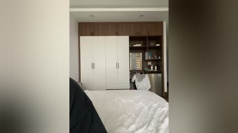 twins666 free recording from 2025-12-27 00:48:00