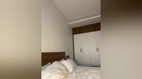 twins666 free recording from 2025-12-27 00:48:00