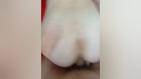 yna_and_yn free recording from 2025-12-27 00:03:00