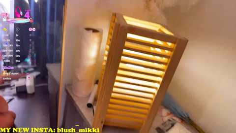 blushmikki free recording from 2025-12-28 04:59:00