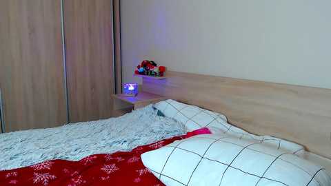 bunnyrin free recording from 2025-12-28 00:08:00