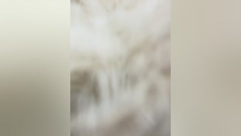 linahelen free recording from 2025-12-28 00:04:00