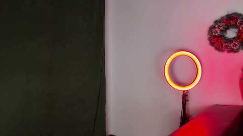 pinkfoxya free recording from 2025-12-28 03:29:00