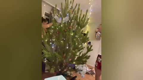 wildloversone free recording from 2025-12-29 00:27:00