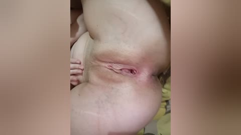 kissa96 free recording from 2025-12-29 00:01:00