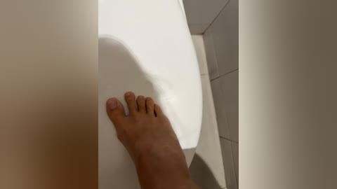 linnea free recording from 2025-12-29 01:39:00