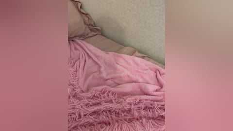 pinkypai free recording from 2025-12-29 00:27:00