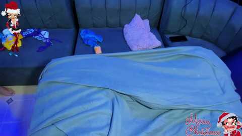 playsgirlhot free recording from 2025-12-29 00:27:00