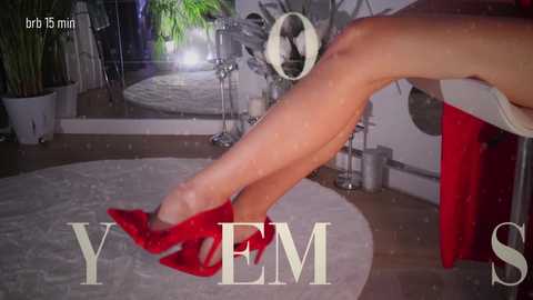 taanni free recording from 2025-12-29 01:32:00