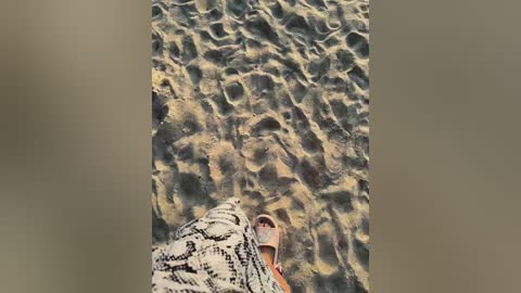 tokionajoe free recording from 2025-12-29 01:39:00