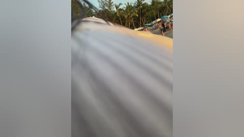 tokionajoe free recording from 2025-12-29 01:39:00